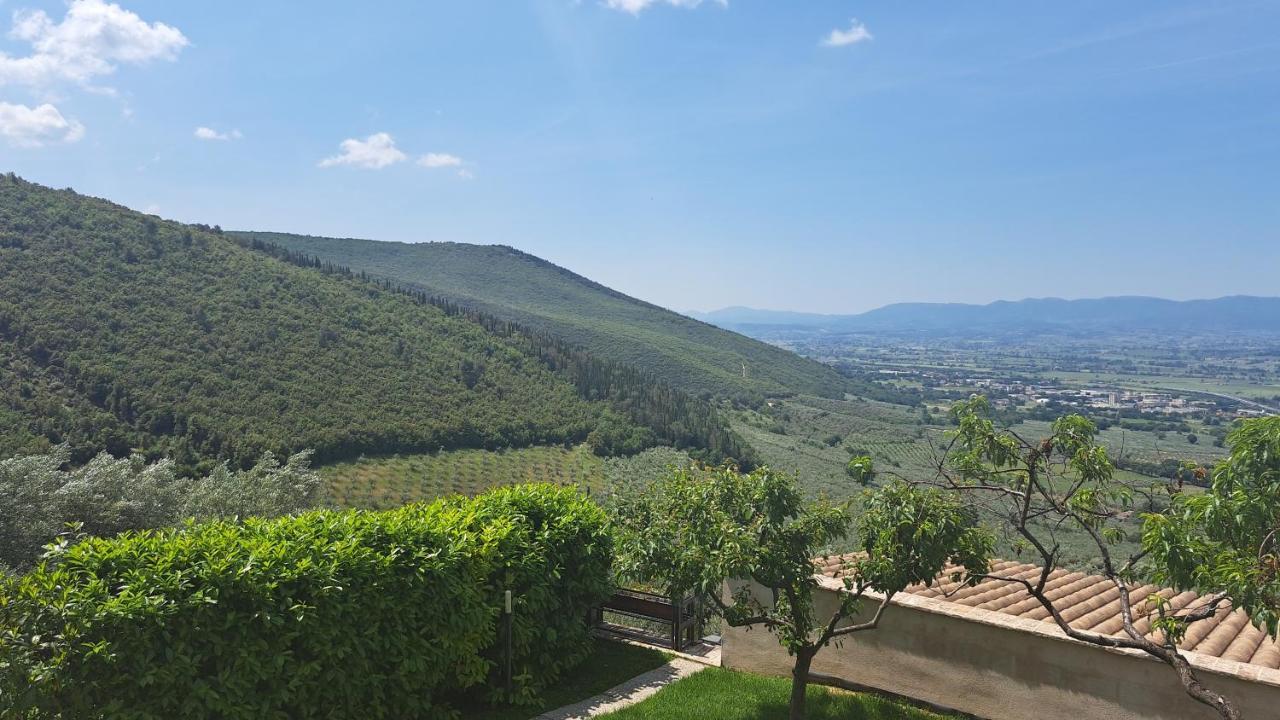 Camera King con Vista Giardino